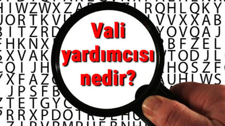 Vali yardımcısı nedir, ne iş yapar ve nasıl olunur Vali yardımcısı olma şartları ve maaşları