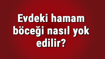 Evdeki hamam böceği nasıl yok edilir, yuvası nasıl bulunur Hamam böcekleri eve nereden girer