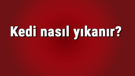 Kedi nasıl yıkanır Kedi normal su ve şampuanla yıkanır mı