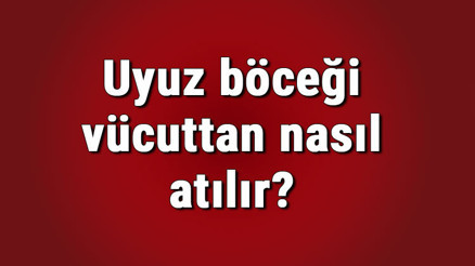 Uyuz böceği vücuttan nasıl atılır Uzun ne kadar sürede geçer