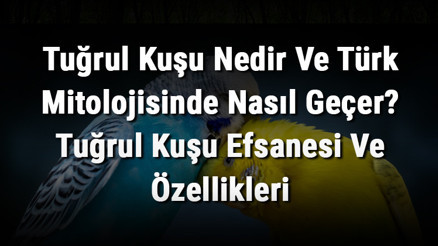 Tuğrul Kuşu Nedir Ve Türk Mitolojisinde Nasıl Geçer Tuğrul Kuşu Efsanesi Ve Özellikleri