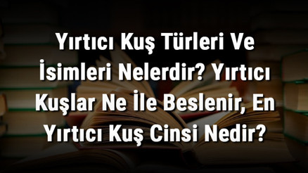 Yırtıcı Kuş Türleri Ve İsimleri Nelerdir Yırtıcı Kuşlar Ne İle Beslenir, En Yırtıcı Kuş Cinsi Nedir
