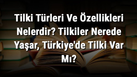 Tilki Türleri Ve Özellikleri Nelerdir Tilkiler Nerede Yaşar, Türkiyede Tilki Var Mı