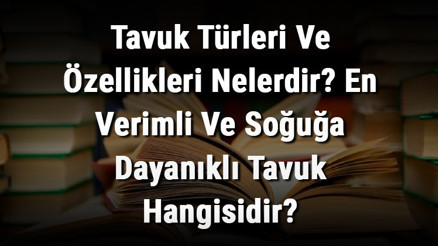 Tavuk Türleri Ve Özellikleri Nelerdir En Verimli Ve Soğuğa Dayanıklı Tavuk Hangisidir Tavuk Türleri Ve Özellikleri Nelerdir En Verimli Ve Soğuğa Dayanıklı Tavuk Hangisidir