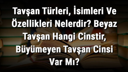Tavşan Türleri, İsimleri Ve Özellikleri Nelerdir Beyaz Tavşan Hangi Cinstir, Büyümeyen Tavşan Cinsi Var Mı Tavşan Türleri, İsimleri Ve Özellikleri Nelerdir Beyaz Tavşan Hangi Cinstir, Büyümeyen Tavşan Cinsi Var Mı