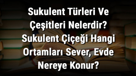 Sukulent Türleri Ve Çeşitleri Nelerdir Sukulent Çiçeği Hangi Ortamları Sever, Evde Nereye Konur