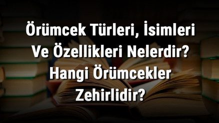 Örümcek Türleri, İsimleri Ve Özellikleri Nelerdir Hangi Örümcekler Zehirlidir Örümcek Türleri, İsimleri Ve Özellikleri Nelerdir Hangi Örümcekler Zehirlidir