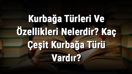 Kurbağa Türleri Ve Özellikleri Nelerdir Kaç Çeşit Kurbağa Türü Vardır