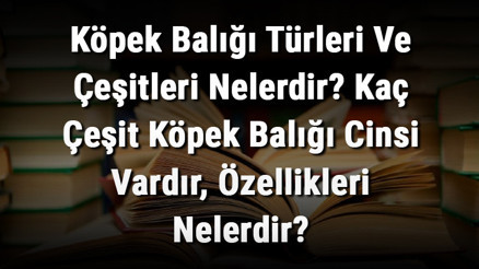 Köpek Balığı Türleri Ve Çeşitleri Nelerdir Kaç Çeşit Köpek Balığı Cinsi Vardır, Özellikleri Nelerdir
