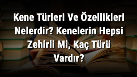 Kene Türleri Ve Özellikleri Nelerdir Kenelerin Hepsi Zehirli Mi, Kaç Türü Vardır