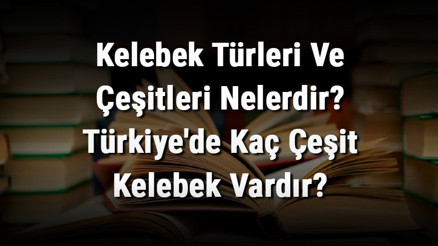 Kelebek Türleri Ve Çeşitleri Nelerdir Türkiyede Kaç Çeşit Kelebek Vardır