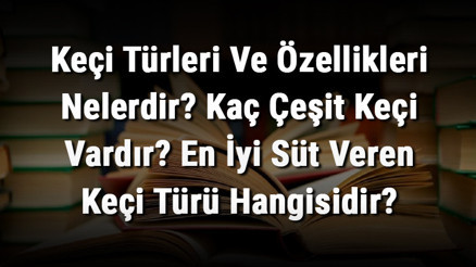 Keçi Türleri Ve Özellikleri Nelerdir Kaç Çeşit Keçi Vardır En İyi Süt Veren Keçi Türü Hangisidir Keçi Türleri Ve Özellikleri Nelerdir Kaç Çeşit Keçi Vardır En İyi Süt Veren Keçi Türü Hangisidir
