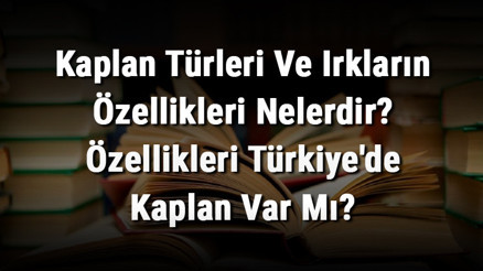 Kaplan Türleri Ve Irkların Özellikleri Nelerdir Özellikleri Türkiyede Kaplan Var Mı Kaplan Türleri Ve Irkların Özellikleri Nelerdir Özellikleri Türkiyede Kaplan Var Mı