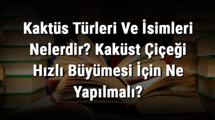 Kaktüs Türleri Ve İsimleri Nelerdir Kaküst Çiçeği Hızlı Büyümesi İçin Ne Yapılmalı