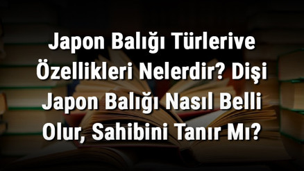 Japon Balığı Türlerive Özellikleri Nelerdir Dişi Japon Balığı Nasıl Belli Olur, Sahibini Tanır Mı Japon Balığı Türlerive Özellikleri Nelerdir Dişi Japon Balığı Nasıl Belli Olur, Sahibini Tanır Mı