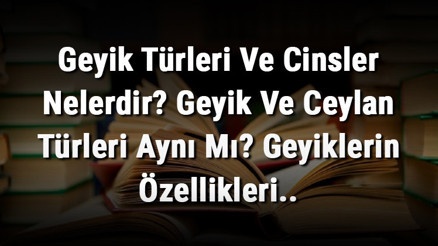 Geyik Türleri Ve Cinsler Nelerdir Geyik Ve Ceylan Türleri Aynı Mı Geyiklerin Özellikleri.. Geyik Türleri Ve Cinsler Nelerdir Geyik Ve Ceylan Türleri Aynı Mı Geyiklerin Özellikleri..