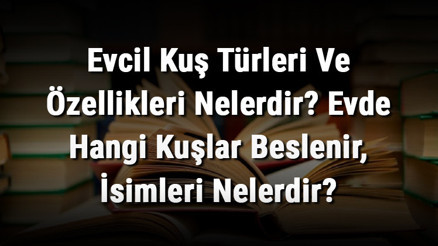 Evcil Kuş Türleri Ve Özellikleri Nelerdir Evde Hangi Kuşlar Beslenir, İsimleri Nelerdir Evcil Kuş Türleri Ve Özellikleri Nelerdir Evde Hangi Kuşlar Beslenir, İsimleri Nelerdir