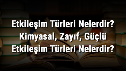 Etkileşim Türleri Nelerdir Kimyasal, Zayıf, Güçlü Etkileşim Türleri Nelerdir