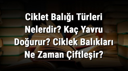 Ciklet Balığı Türleri Nelerdir Kaç Yavru Doğurur Ciklek Balıkları Ne Zaman Çiftleşir Ciklet Balığı Türleri Nelerdir Kaç Yavru Doğurur Ciklek Balıkları Ne Zaman Çiftleşir