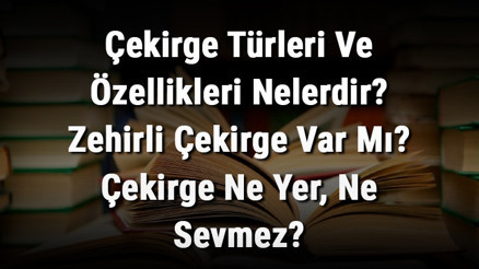 Çekirge Türleri Ve Özellikleri Nelerdir Zehirli Çekirge Var Mı Çekirge Ne Yer, Ne Sevmez Çekirge Türleri Ve Özellikleri Nelerdir Zehirli Çekirge Var Mı Çekirge Ne Yer, Ne Sevmez