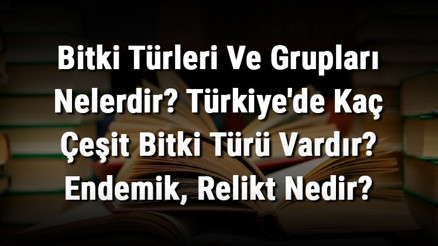 Bitki Türleri Ve Grupları Nelerdir Türkiyede Kaç Çeşit Bitki Türü Vardır Endemik, Relikt Nedir