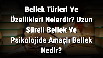 Bellek Türleri Ve Özellikleri Nelerdir Uzun Süreli Bellek Ve Psikolojide Amaçlı Bellek Nedir
