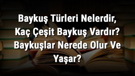 Baykuş Türleri Nelerdir, Kaç Çeşit Baykuş Vardır Baykuşlar Nerede Olur Ve Yaşar