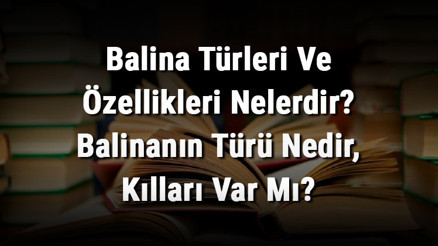 Balina Türleri Ve Özellikleri Nelerdir Balinanın Türü Nedir, Kılları Var Mı