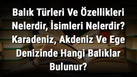 Balık Türleri Ve Özellikleri Nelerdir, İsimleri Nelerdir Karadeniz, Akdeniz Ve Ege Denizinde Hangi Balıklar Bulunur Balık Türleri Ve Özellikleri Nelerdir, İsimleri Nelerdir Karadeniz, Akdeniz Ve Ege Denizinde Hangi Balıklar Bulunur