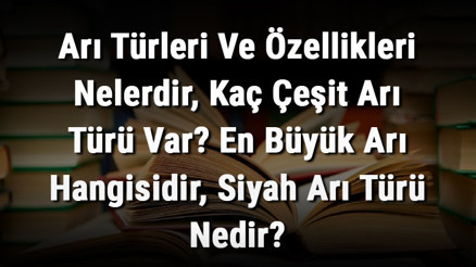 Arı Türleri Ve Özellikleri Nelerdir, Kaç Çeşit Arı Türü Var En Büyük Arı Hangisidir, Siyah Arı Türü Nedir