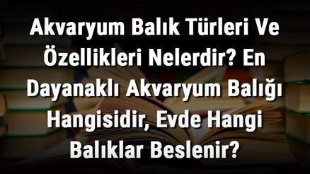 Akvaryum Balık Türleri Ve Özellikleri Nelerdir En Dayanaklı Akvaryum Balığı Hangisidir, Evde Hangi Balıklar Beslenir Akvaryum Balık Türleri Ve Özellikleri Nelerdir En Dayanaklı Akvaryum Balığı Hangisidir, Evde Hangi Balıklar Beslenir