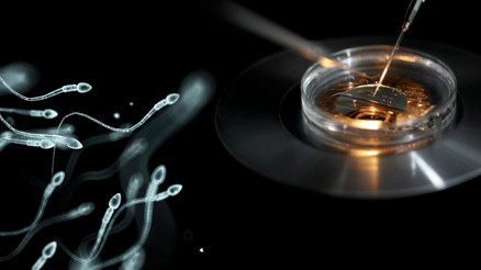 Büyük skandal DNA sonucu babayı da çocuğu da şoke etti