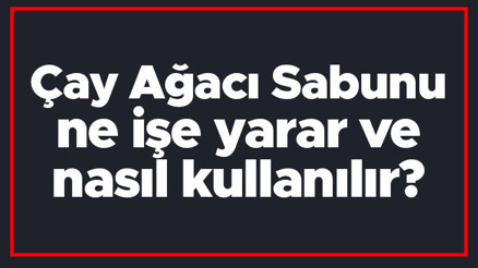 Çay Ağacı Sabunu ne işe yarar ve nasıl kullanılır Çay Ağacı Sabununun saça, cilde ve sivilce izlerine faydaları