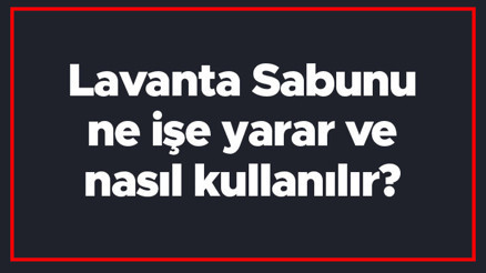 Lavanta Sabunu ne işe yarar ve nasıl kullanılır Lavanta Sabununun saça, cilde ve vücuda faydaları Lavanta Sabunu ne işe yarar ve nasıl kullanılır Lavanta Sabununun saça, cilde ve vücuda faydaları