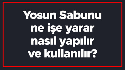 Yosun Sabunu ne işe yarar, nasıl yapılır ve kullanılır Yosun Sabunu nelere iyi gelir, cilde ve saça faydaları nelerdir