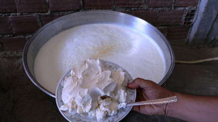 Koyun yoğurdu faydaları nelerdir Koyun yoğurdu ne işe yarar, hangi hastalıklara iyi gelir