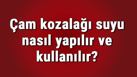 Çam kozalağı suyu nasıl yapılır ve kullanılır Çam kozalağı suyu neye iyi gelir, cilde ve saça faydaları nelerdir