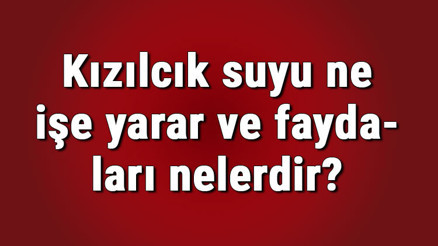 Kızılcık suyu ne işe yarar ve faydaları nelerdir Hamilelikte ve normal yaşantıda kızılcık suyunun cilde faydaları