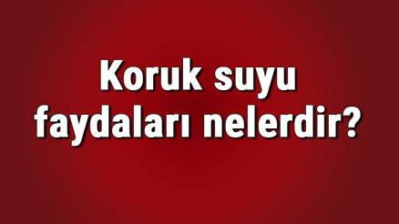 Koruk suyu faydaları nelerdir ve neye iyi gelir Koruk suyu içmenin cilde ve yüze faydaları