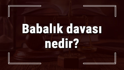 Babalık davası nedir, nerede ve nasıl açılır Babalık davasını kimler açabilir ve ne kadar sürer Babalık davası nedir, nerede ve nasıl açılır Babalık davasını kimler açabilir ve ne kadar sürer