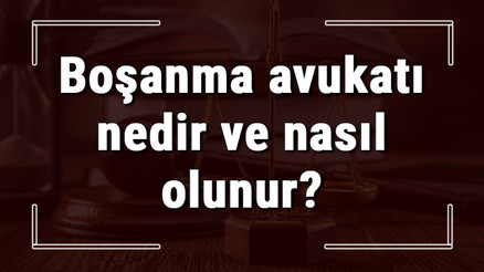 Boşanma avukatı nedir ve nasıl olunur Boşanma avukatı nasıl bulunur ve seçilir