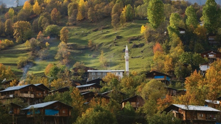 Güz daveti