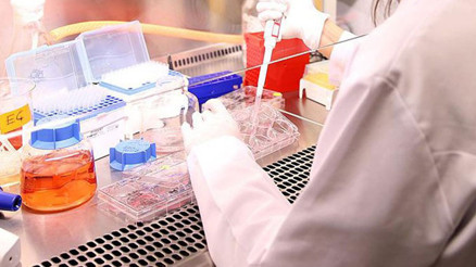 Almanya’da iki Türk çocuk için doku tipleme kampanyası düzenlenecek