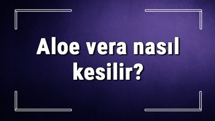 Aloe vera nasıl kesilir Aloe vera yaprağı zarar vermeden nasıl kopartılmalı