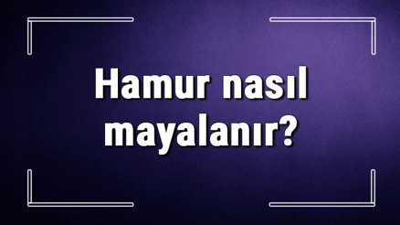 Hamur nasıl mayalanır Kuru maya ile hamur nasıl yapılır En güzel mayalı hamur yapımı.. Hamur nasıl mayalanır Kuru maya ile hamur nasıl yapılır En güzel mayalı hamur yapımı..
