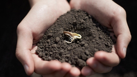 Pika sendromu (Toprak, kil, tebeşir vb. yeme alışkanlığı) nedir, ne eksikliği, kimlerde görülür Uzmanı açıkladı