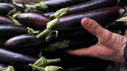 Patlıcan besin değerleri: 100 gr patlıcan kaç kalori Protein ve karbonhidrat değerleri.. Patlıcan besin değerleri: 100 gr patlıcan kaç kalori Protein ve karbonhidrat değerleri..