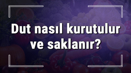Dut nasıl kurutulur ve saklanır Evde kara, beyaz ve sarı dutu fırında kurutma yöntemleri