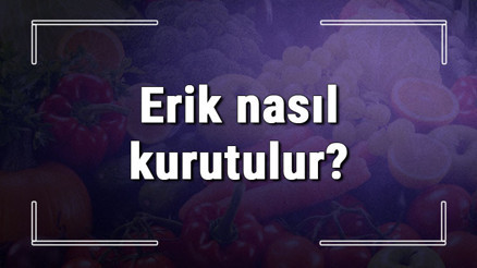 Erik nasıl kurutulur Çekirdekli siyah, sarı ve yeşil bütün eriği fırında ve farklı kurutma yöntemleri