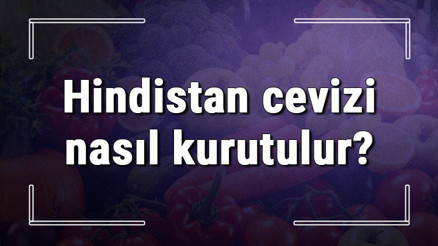 Hindistan cevizi nasıl kurutulur Evde taze hindistan cevizi kurutma